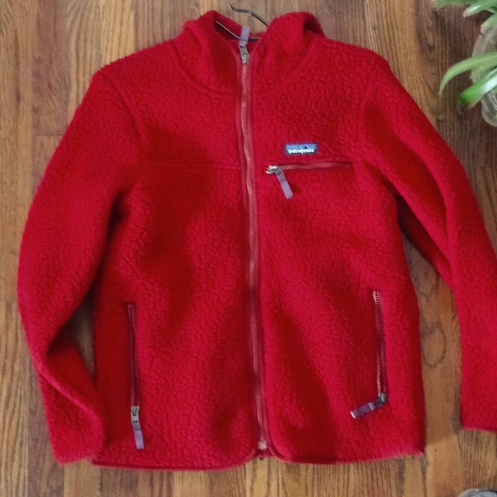 Patagonia Women's Retro Pile Hoody